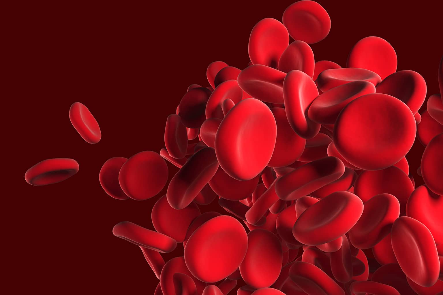 Visualisierung roter Blutkörperchen symbolisiert weitere TAMI-Lösungen wie die Wertsteigerung von Blut aus Tierschlachtungen, Konzentration von Eiklar oder die Klärung und Konzentration von Gelatine.